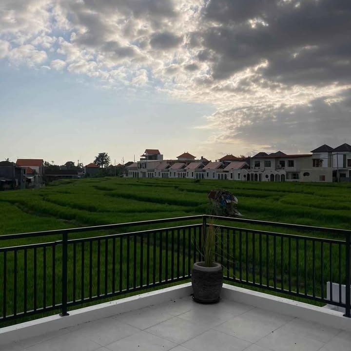 481020271_2552832915057810_328713612066226218_n