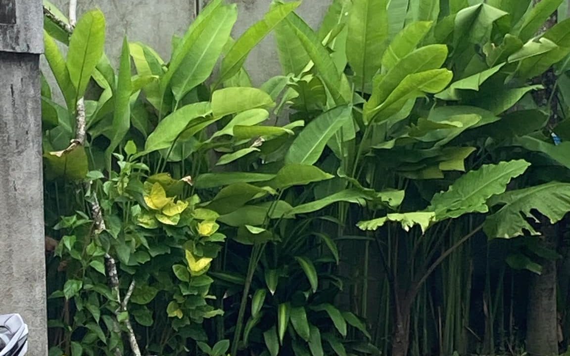 481049517_122118756770652125_392964371646810641_n