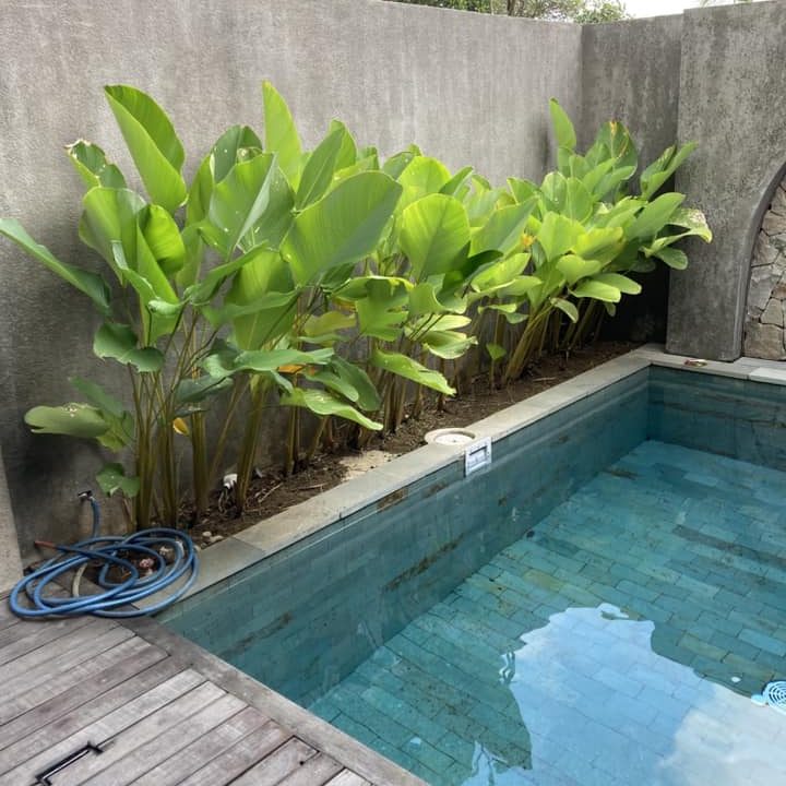 481249468_122118755798652125_7101637481931314235_n