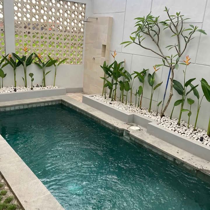 482220089_2552832775057824_3620044903324003032_n