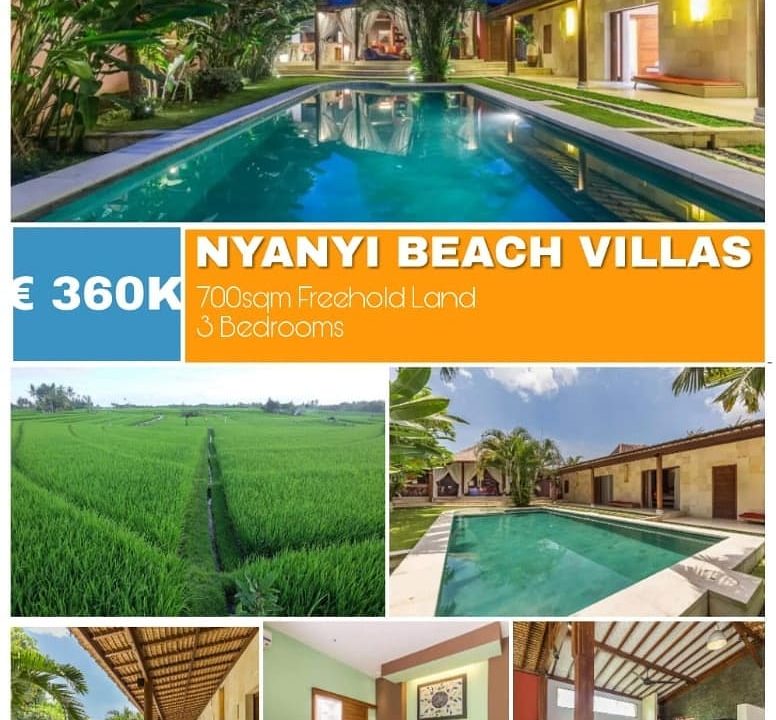 53431934_605096303267269_6572047845606445907_n